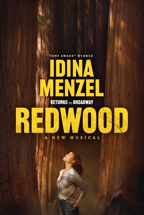 Idina Menzel de retour à Broadway dans la comédie musicale Redwood