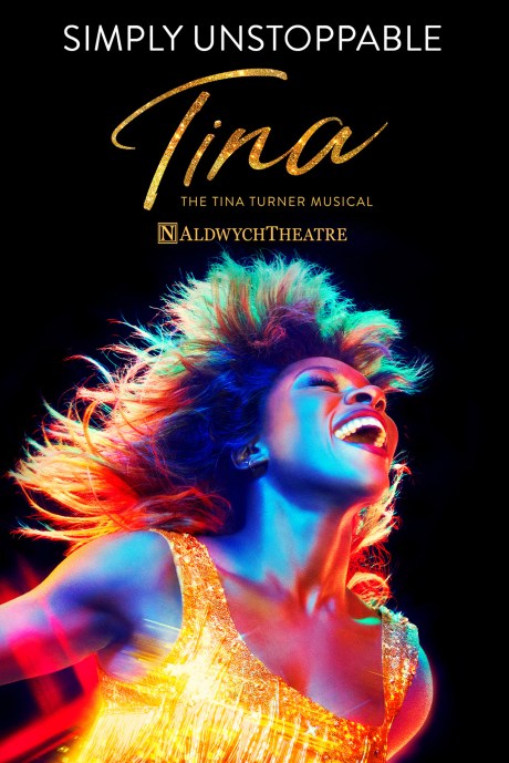 Tina : the Tina Turner musical